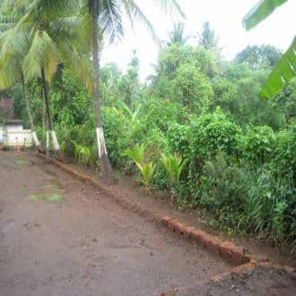 A Resort In The Heart Of Shriwardhan, Raigad 5